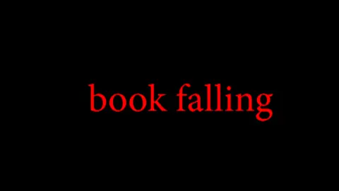 meme book falling