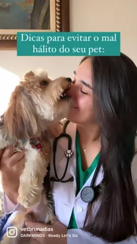 🦷 O mau hálito é um problema comum nos cães, e por acharem que esse odor é de natureza do mesmo muitos tutores não dão importância a isso. ⚠️ Fique atento, o mau hálito pode indicar problemas de saúde, e você deve procurar o Médico Veterinário. #hálito #pet #cachorro