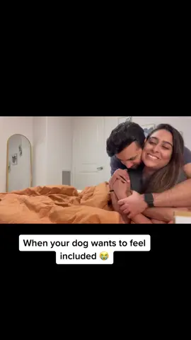 The way she jumps in to be included 😭😭😭 #dogsofttiktok #happydog #famforlife #fyp