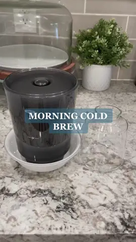 THE BEST COLD BREW > Starbucks… finally found a coffee creamer we love 👏🏼 #morningcoffee #coldbrew #homemadecoldbrew #coffee #coffeeathome #chobani #chobanicreamer #oxo #freshgroundcoffee #amazonfind #takeaNAIRbreak #CatOnALeash #HPSustainableSounds