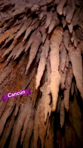 What kind of pants does a cave explorer wear? #cancun #travel #explorer #cave #nature #dadjokes