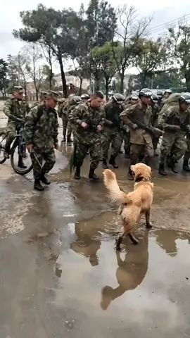 @soldados_ejercito  #policiamilitar #moral #animacionmilitar #ejercitocolombiano 🇨🇴