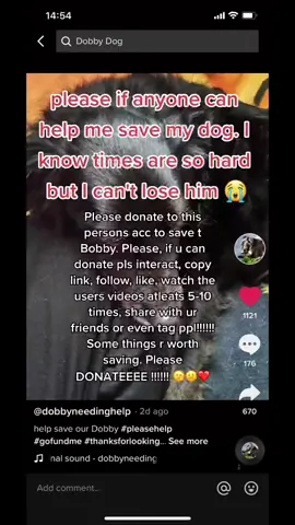 Please boost, and most importantly please donate !!! ❤️ #fyp #SaveBobby #save #donate #DONATE #like #viral #forupage #boost #eBayWintern @Dobbyneedinghelp users acc !! PLEASE DONATE TO SAVE THIS DOG !! 😕😕❤️