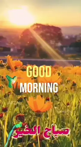 #goodmorninglove #നീ ദൂരെ ആണെങ്കിലും നിന്നെ ഒരു തുള്ളി പോലും മറന്നതില്ല എന്റെ ഹൃദയം ....എല്ലാ ദിവസവും ആദ്യത്തെ ഓർമ നീ മാത്രം ..... !!!!! 😘നിനക്കായ് സ്നേഹപൂർവ്വം  നേരുന്നുശുഭദിനാശംസകൾ♥️💚♥️💚♥️💚♥️