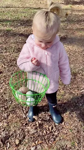 Mama’s little egg collector. #fyp #babiesoftiktok #kidsoftiktok #chickensoftiktok #farmlife #countrylife