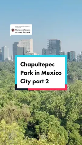 Reply to @user187846405  It would literally take weeks to see everything #Chapultepec Park has to offer. It’s so so so awesome! #CDMX #MEXICOCITY #chapultepeccdmx