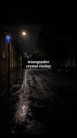 #fypsounds #slowedandreverb #fypシ #transgender #crystalcastles