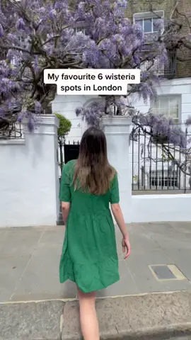 #wisteria #wisteria🕊 #londontiktok #londontiktokstar🌟 #fypシ゚viral