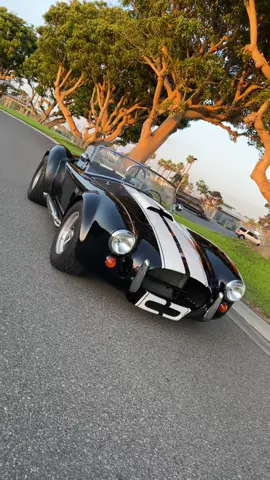 Can we bring this trend back to #cartok? 🏎💨 #acShelbyCobra #cars