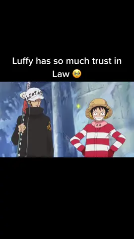 #luffy #luffyonepiece #luffyedit #monkeydluffy #onepiece #onepieceedit #onepieceluffy #anime #onepieceedit #onepieceanime #onepiecemoments #anime #animetiktok #amv #amvanime #amv_anime #editanime #amvedit #trafalgarlaw #trafalgar #trafalgardwaterlaw #law #fy #fyp #foryou #foryoupage #fypシ #fypage