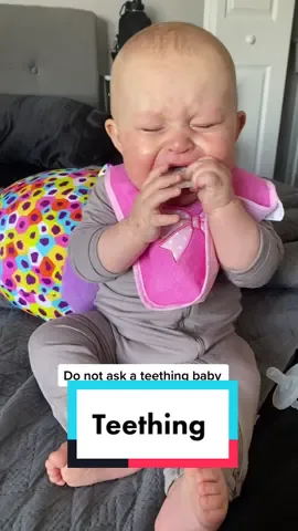Poor baby🥺 #teethingbaby #mariahjoy #8monthsold #momtok #twomoms #lgbtfamily #meganandtashy #teething #ivfbaby