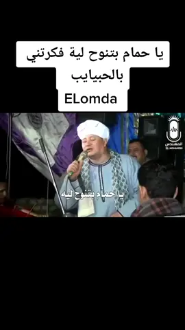 الشيخ ايمن هريدي يا حمام بتنوح لية فكرتني بالحبيايب #صاعيده #العمده_حسام_عبدالهادى #العمده_حسام_عبدالهادى #مدح_رسول_الله_ #ELomda #الدشناوي #الصفحة_الرسمية_الشيخ_ياسين_التهامي #مدح_ف_حب_رسول_الله #صاعيده_يارسول_الله #رمضان_وصل