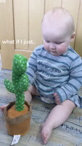 What a lovely gift his Aunty brought back from her travels @parislynesjones  #cactustoy #dancingcactus🌵🌵🌵❤️❤️❤️ #babyreacts