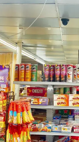 “Bodega Cat Chronicles” Pt. 16 #gato #cat #catsoftiktok #cattok #bodegacat #cornerstorecat #bodega rasheed #bamz #cats #kitty #kitte #catbread