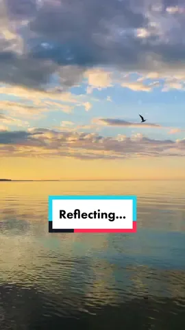 Reflections into the past; birds teach us to move with the wind, and not always against it. Thoughts? 🌤  #ontario #lakeontario #laketok #wny #ny #greatlakes #westernny #westernnewyork #naturetok #rochester #rochesterny #fingerlakesregion #fingerlakes #lakevibes #lakelife #iloveny #upstateny