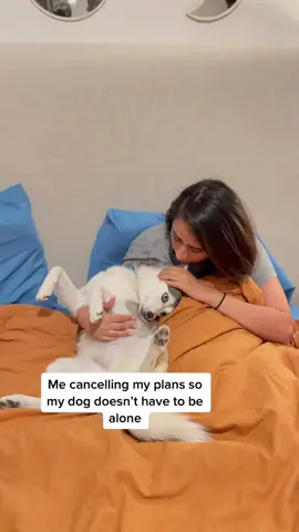 I’d rather hang with my dog 🐶 #dogsofttiktok #fyp
