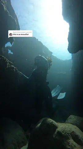 Reply to @katerynawck  seriously! Sebastian knows best 🦀 😂 #dive #divewithme #explore #freediving #oceanworld #cave
