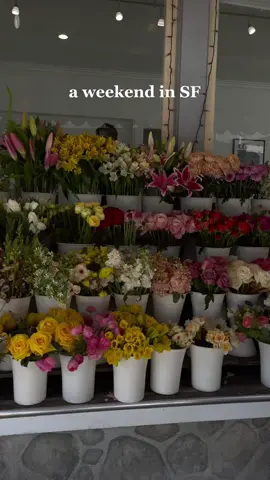 missing it already 💐 #sanfrancisco #weekendvlog #sf