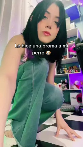 Le hice una broma a mi perro...👀🐶 #pet #mascota #badbunny #parati #fyp #dogs #pomeranian #prank  #mascotasdetiktok #mascotastiktok #mascotas #perrostiktok