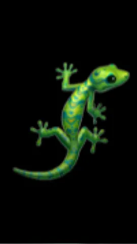 #lizard #funny #funnyvideos #fyp