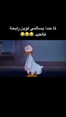 #العيد #العيد2022 #حوامل #مشوار #نوم #سرير
