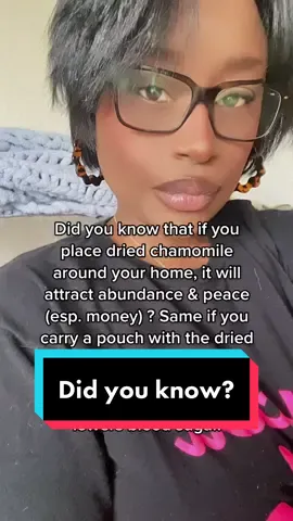 🤍🤍🤍 #fypシ #trending #viraltiktok #spiritualtok #fyp #witchtok #omens #DidYouKnow #chamomiletea #lucky #wealth #abundance #chamomile  #goodfortune #goodomen #babywitchtips  #babywitchesoftiktok