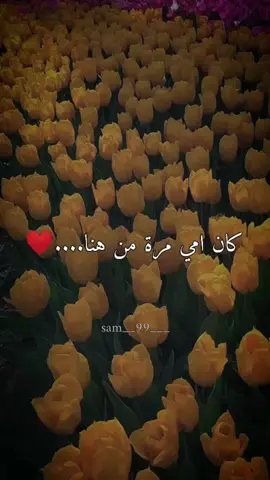 وان طال الدعاء اللهم امي ثم امي ثم امي🥺❤️اكسبلوررر❤️❤️