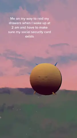 My social security card is my biggest 2am demon