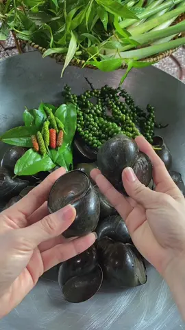 Ốc bươu đen hấp tiêu lốt +tiêu xanh ấm bụng chiều mưa#MonAnSieuDe #AnCungTikTok #xuhuongtiktok #xuhuong #ReviewAnNgon #foodtiktok #trending #vibula #tiktokvietnamm
