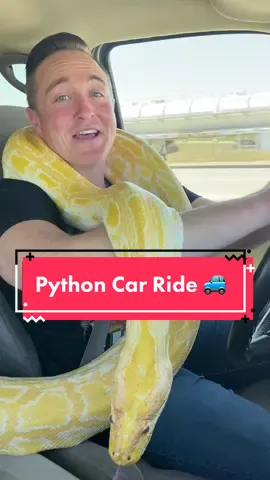My Pet Python & I Pick Out A New Car! 😱🚗 #python #burmesepython #albinoburmesepython #petpython #carshopping #boise #boiseidaho #petsnake #foryou