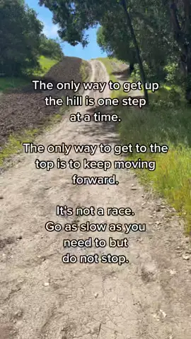 Go slow and do not stop #fypシ #selfawarenessjourney #HealingJourney #innerchildwork #selflovejourney #selfrespect #keepgoingdontstop #spiritualawakening #hikingtiktok