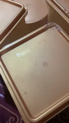 Entah mau ke tawa apa mau nangis waktu liat Tupperware di gigit tikus 😭😭😭😭😂🤣😂