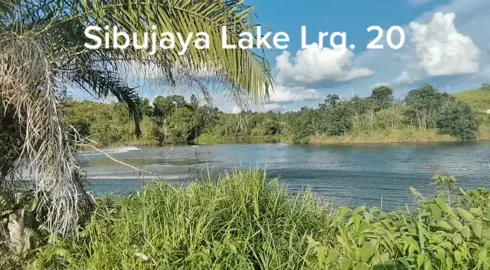 Dulu jadi tumpuan kaki pancing, skrg jadi tumpuan pemain speedboat..pesanan land owner satu jer lah..JAGA KEBERSIHAN ALAM SEKITAR DAN JAGA KESELAMATAN DIRI.. #lake #sibujaya #sibusarawak #staysafe