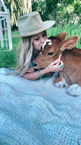 The cutest senior session we did tonight ♥️🐮 #photosession #photomagic #LIKEABOMBSHELL #fyp #cows #cowsoftiktok #cowsdancing #animals #pets #PetsOfTikTok #seniors #senioryear #florida #floridaman #foryoupage #western #westernfashion