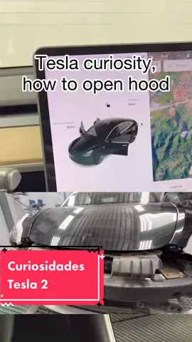 #GoSpring #curiosidades #curioso #curiosity #tesla #teslamodel3 #teslatok #tallerdepintura #pinturaautomotivapassoapasso #refinishfamily #pinturauto