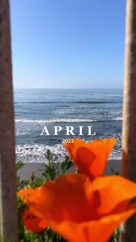 ✨April Gallery✨ #aprilrecap #aprilhighlights #california