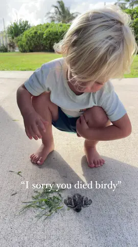 My toddler found a  ☠️ baby bird and took such good care of it! He’s got the purest soul