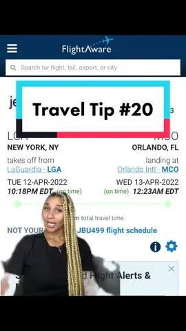 This one is for all my paranoid people That need a full rundown about their flight ! #traveltip #tricksandtips #fyp