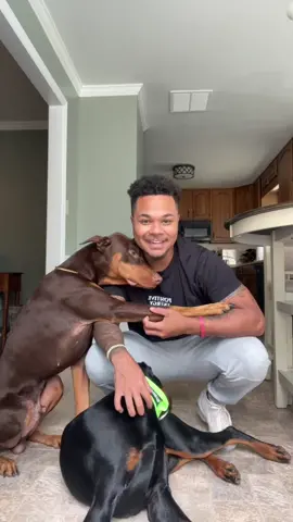 We had to do this one 😂🤣 #fyp#viral#knox#suavexavier