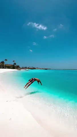 Another dive into paradise 💦💙⚓️ #dive #maldives #tropical #islandboy #maldivas #island #travel #tiktoktravel #beautiful #paradise #viajar