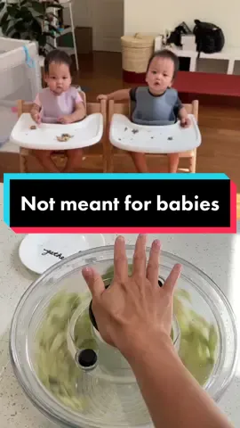 Use this sound for your favorite non-toy toys #babiesoftiktok #twins #twinmom #twinmama #NHL #fyp