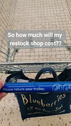Restock Shop #shopping #budgeting #budget #shop #food #tesco #howmuch #money #mealplan #weeklyshop #restock @tesco