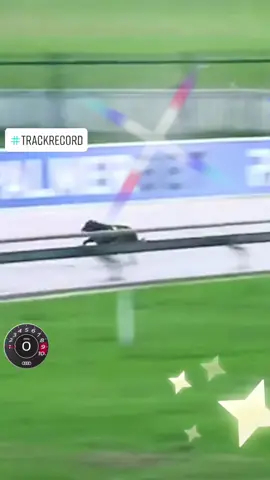 Integrity Mate - new Track Record at Casino! 💪 #thedogs #greyhoundracing #trackrecord #racing