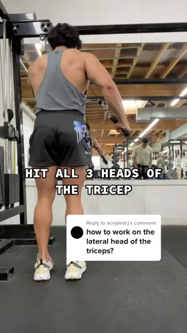 Reply to @acnjdedcj simple but effective #Fitness #armworkout #triceps #fit #flex #SearchForWonderMom #BBPlayDate #LaurelRoad4Nurses #gains #foryou #fyp