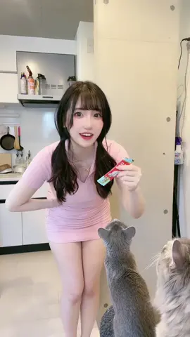 猫たちに釈迦棒あげた #お姉さんのヒモ