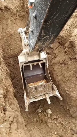 chest full of treasure discovered