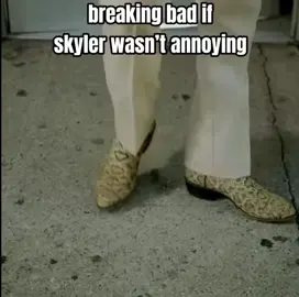 #skylerwhite #breakingbad #meme this was a mistake