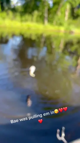Bae was pulling em in. #lazysunday #fishing #fishinglife #wife #meetthebreedloves #sunday