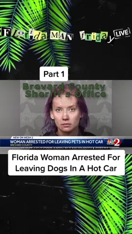 #truecrimetiktok #floridawoman #onlyinflorida
