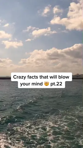 Mind blowing 😳🤯 #crazy #facts #mindblowing #fypシ゚viral
